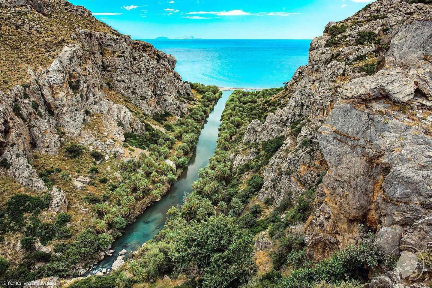 조지오폴리스: 프레벨리 야자 해변 당일 여행