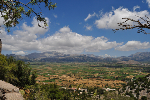 Crete: Lasithi Plateau and Knossos Palace Day Tour Pickup from Elounda, Agios Nikolaos, Istron