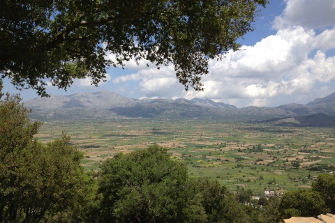 Creta: excursión de un día a la meseta de Lasithi y al palacio de KnossosRecogida en Elounda, Agios Nikolaos, Istron