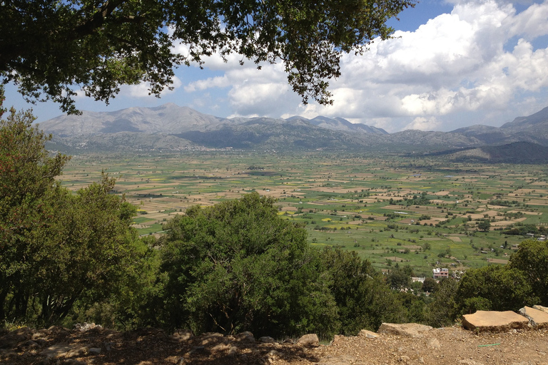 Creta: Tour di un giorno dell&#039;altopiano di Lasithi e del Palazzo di Cnosso