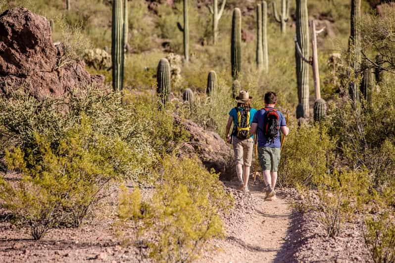 From Phoenix Gold Rush Guided Hiking and Gold Panning Tour GetYourGuide