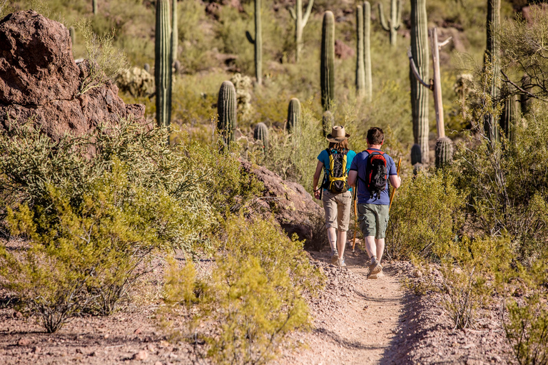 From Phoenix: Gold Rush Guided Hiking and Gold Panning Tour