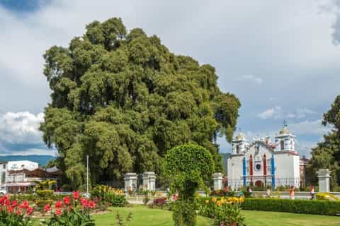 Full-Day Tour of Oaxaca