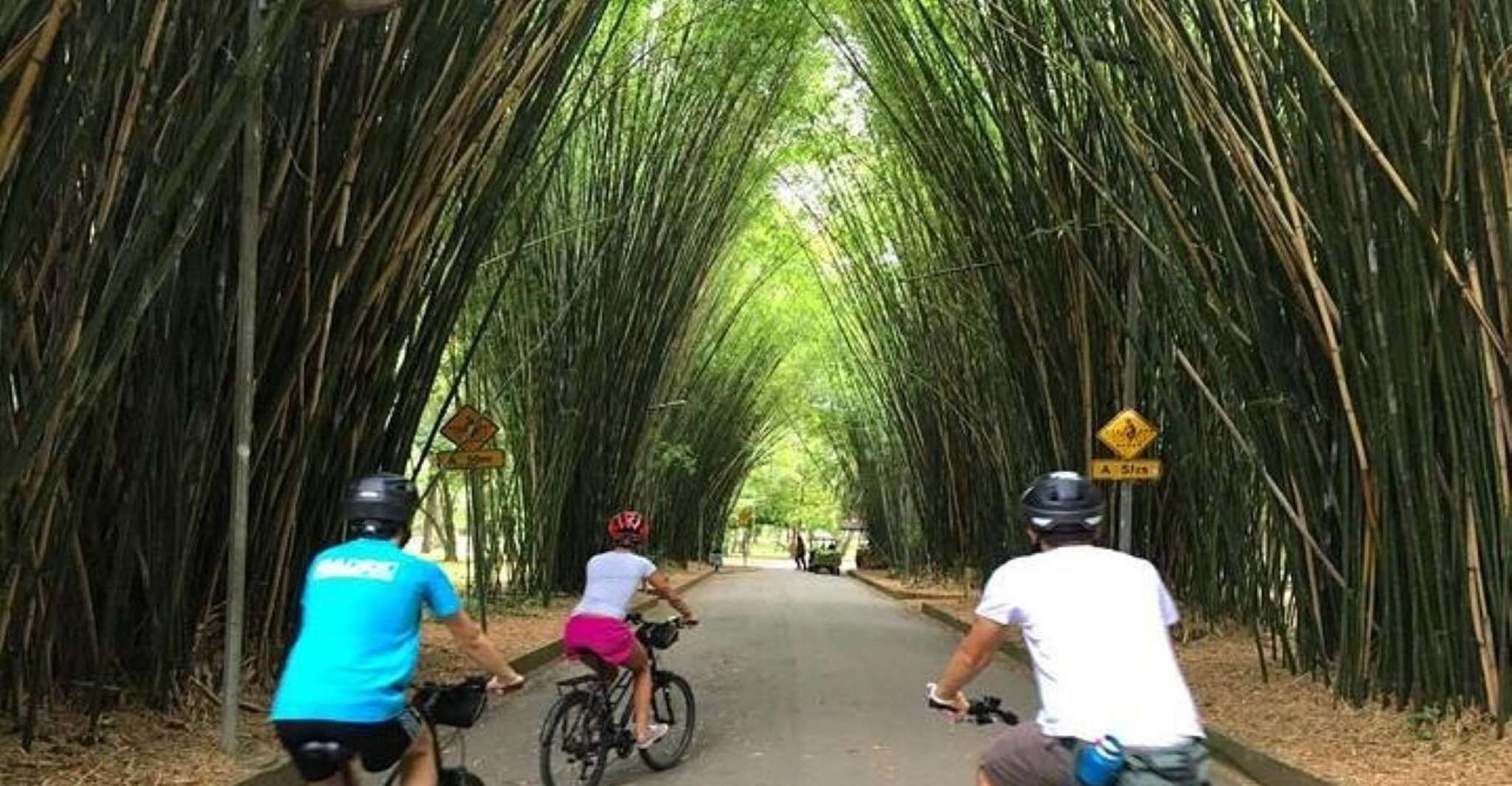 Sao Paulo, die coolste Stadtszene Fahrradtour - Hizvo
