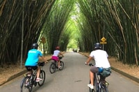 Sao Paulo, die coolste Stadtszene Fahrradtour - Hizvo