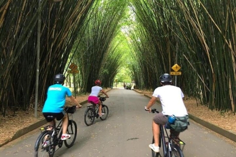 Sao Paulo: Geführte Fahrradtour durch die Stadt