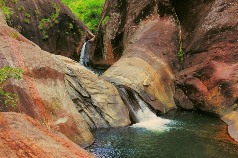 Sri Lanka: excursion nature privée de 3 jours à Belihuloya et YalaPrise en charge à Negombo