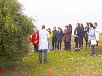 Jaén, Olive Mill Tour and Olive Oil Tasting Experience - Housity