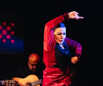 Seville: Tapas Walking Tour with Traditional Flamenco Show