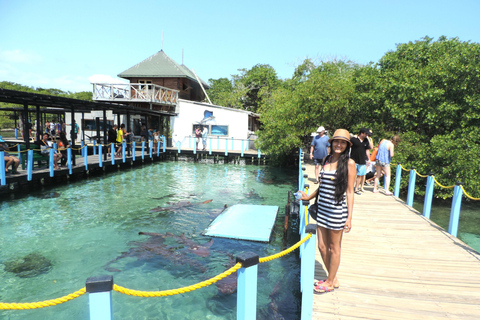 Full day in the Rosario Islands with lunch Cartagena