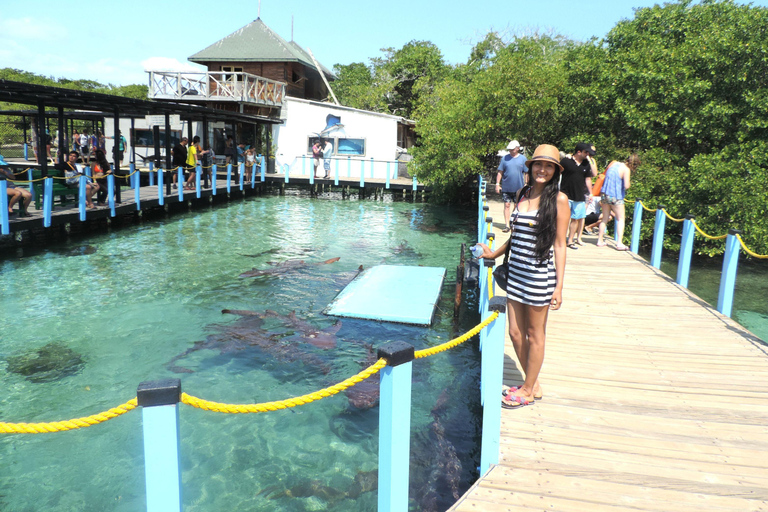 Full day in the Rosario Islands with lunch Cartagena