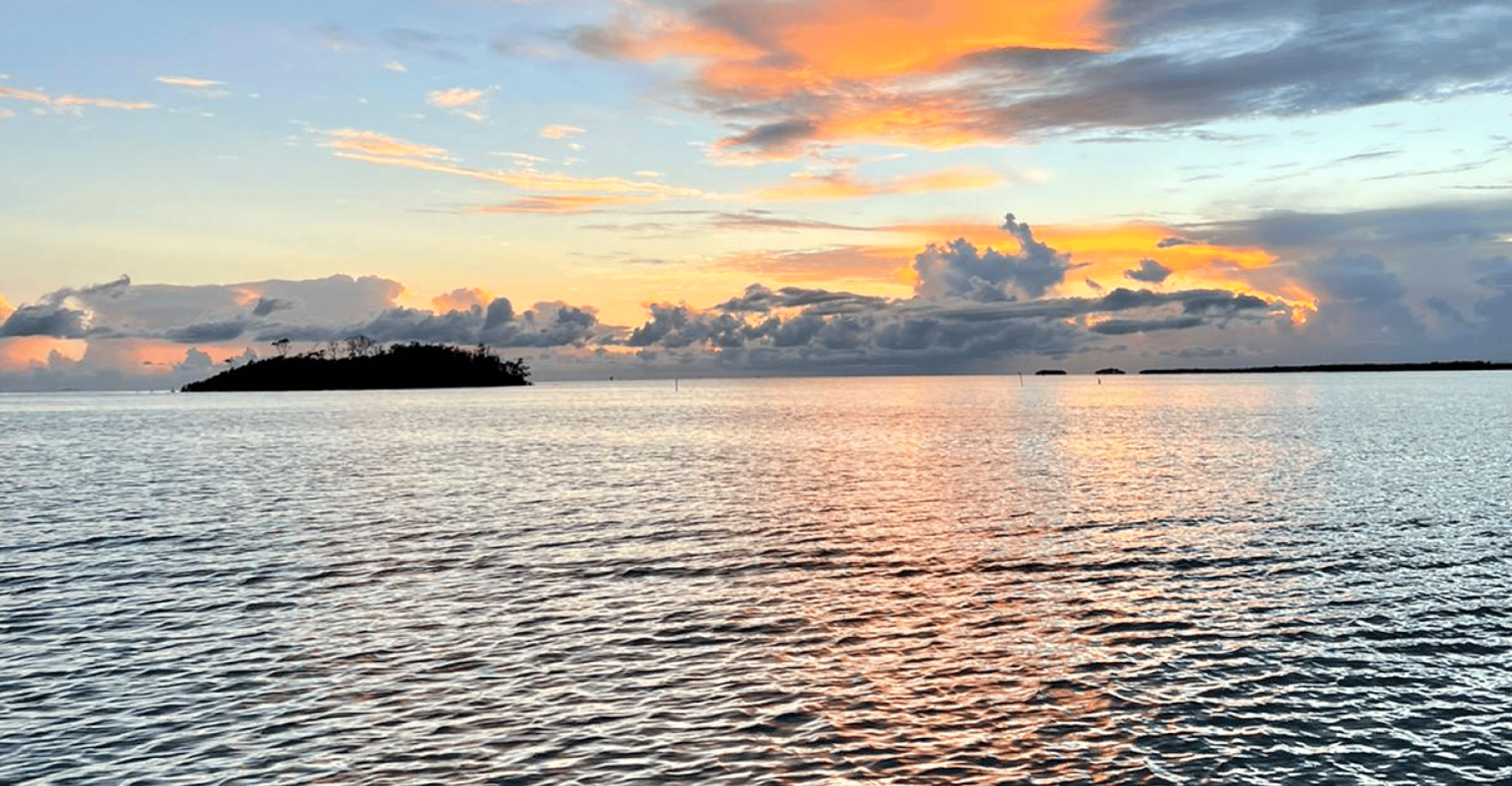 From San Juan, La Parguera Glowing Bio Bay Boat Tour - SuiteTrails