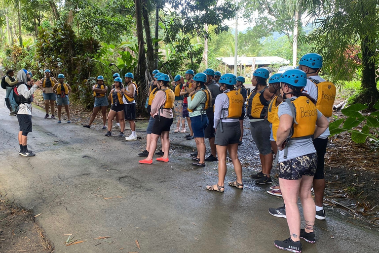 Van San Juan: El Yunque Forest Hike & Ziplining Combo TourVan San Juan: Yunque Rainforest Hike & Ziplining Combo Tour