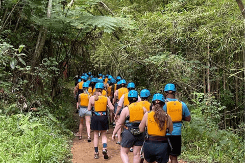 Van San Juan: El Yunque Forest Hike & Ziplining Combo TourVan San Juan: Yunque Rainforest Hike & Ziplining Combo Tour
