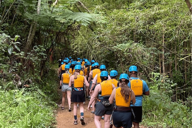 Van San Juan: El Yunque Forest Hike & Ziplining Combo TourVan San Juan: Yunque Rainforest Hike & Ziplining Combo Tour