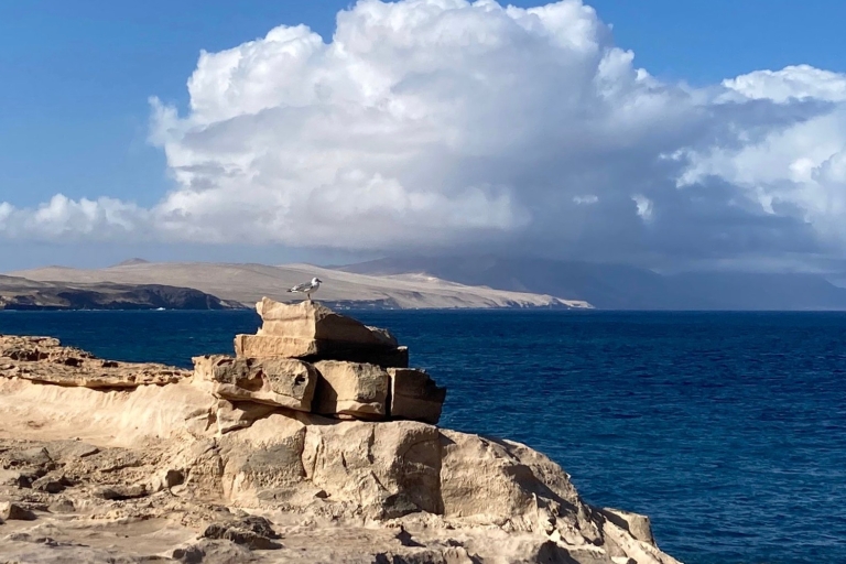Fuerteventura: paseo guiado al atardecer por la costa oesteCaminata guiada al atardecer por la costa oeste
