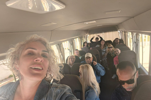 Tunis: Guided visit to the Bardo Museum, Carthage, Sidi Bou Said Shared group