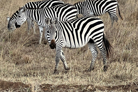 Nairobi National Park: Early Morning or afternoon adventure Early morning game drive in a Landcruiser JEEP