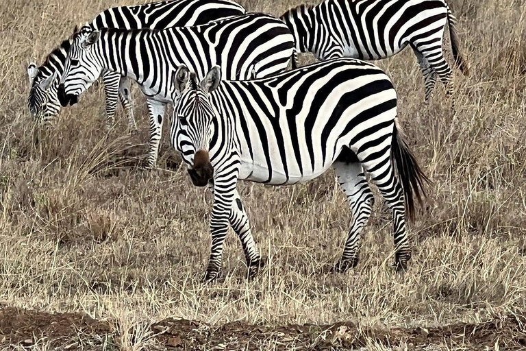 Nairobi National Park: Early Morning or afternoon adventure Early morning game drive in a Landcruiser JEEP