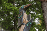 Sitka, tótem, Raptor Center y Fortress of Bears Tour - Housity