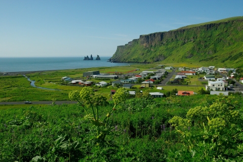 Reykjavik : Visite guidée privée d'une journée sur la côte sud