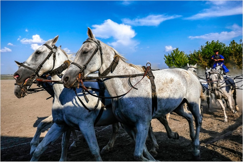 Wycieczka całodniowa z Budapesztu na węgierską pusztęWęgierska Puszta z Budapesztu – wycieczka całodniowa