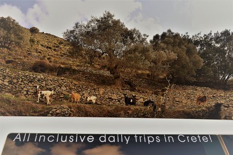 Da Chania: tour condiviso di Elafonisi e Falasarna con spuntiniDa Chania: tour condiviso di Elafonisi-Falasarna di un giorno intero