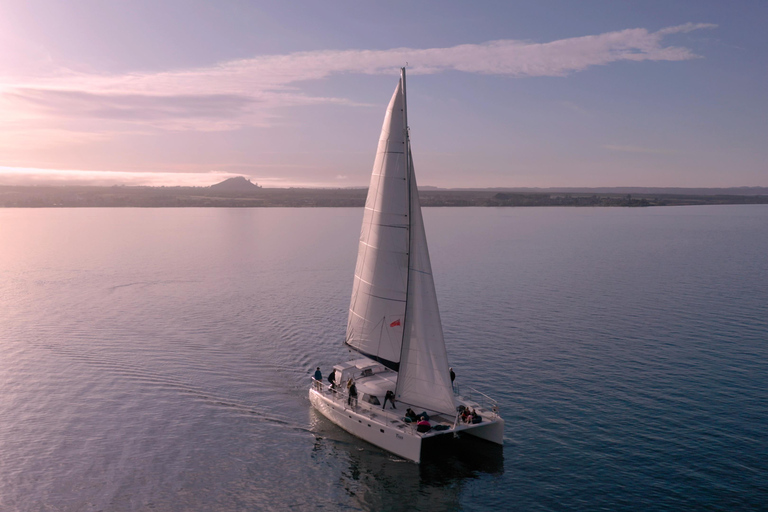 Taupo: tour in barca a vela sul lago Taupo con incisioni rupestri MaoriVisita alle 15:30