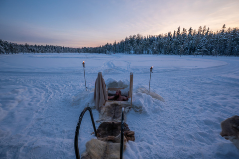 Ranua: Lupland Activity Park Entry with Reindeer Experience