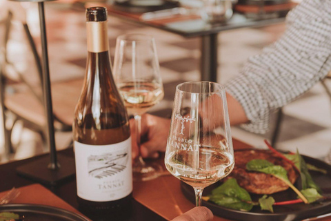 From Colonia: Pueblo Tannat Winery Experience Wine & Cheese Tasting