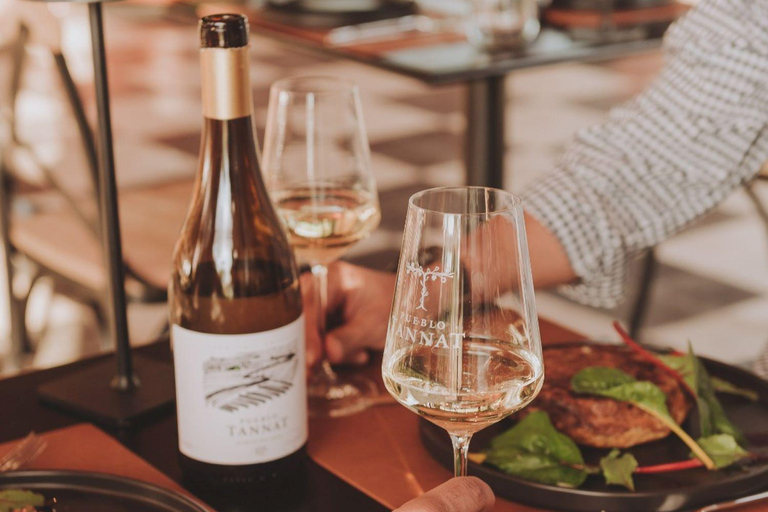 From Colonia: Pueblo Tannat Winery Experience Wine & Cheese Tasting