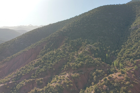 Vanuit Marrakesh: dagexcursie Ourika-vallei & AtlasgebergteDagtour door Ourika-vallei en Atlasgebergte