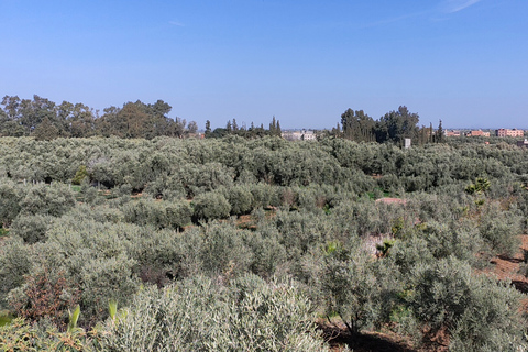 Vanuit Marrakesh: dagexcursie Ourika-vallei & AtlasgebergteDagtour door Ourika-vallei en Atlasgebergte