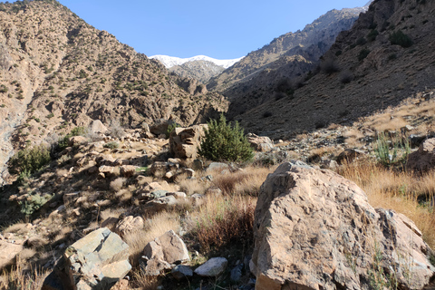 Vanuit Marrakesh: dagexcursie Ourika-vallei & AtlasgebergteDagtour door Ourika-vallei en Atlasgebergte