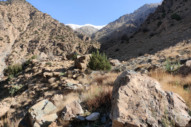 Vanuit Marrakesh: dagexcursie Ourika-vallei & AtlasgebergteDagtour door Ourika-vallei en Atlasgebergte