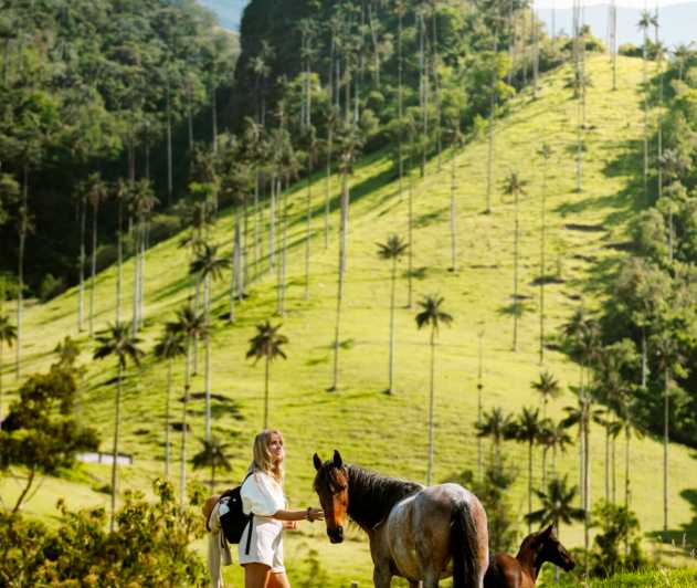 Salento: Magical Horse Ride Through Valley Cocora