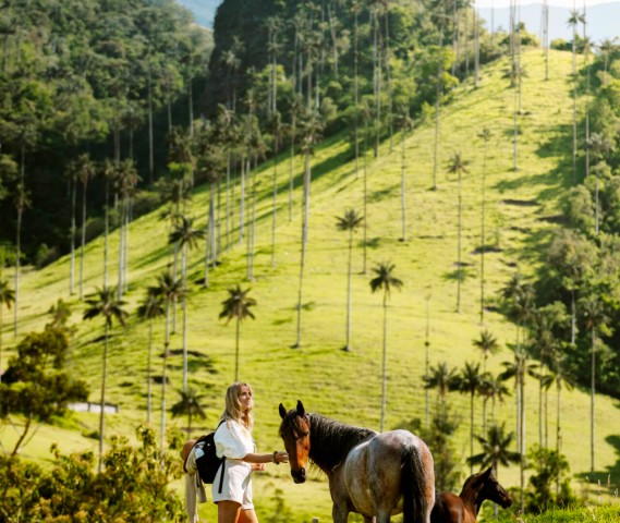 Visit Salento Magical Horse Ride Through Valley Cocora in Dilijan