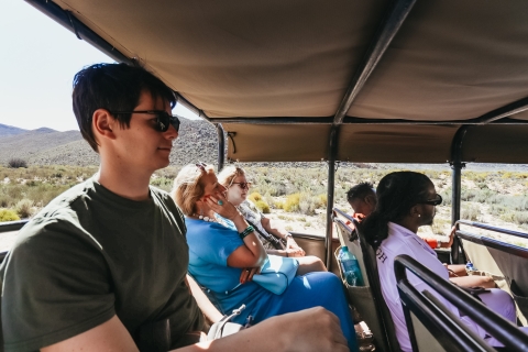 De Ciudad del Cabo: viaje de ida y vuelta a Aquila y safari