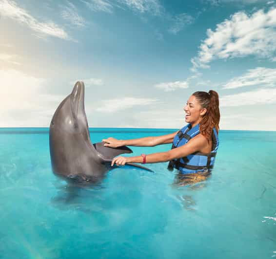 swim with dolphins cancun isla mujeres