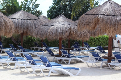 Cancún: Isla Mujeres Katamaran Tour & Schwimmen mit DelphinenKreuzfahrt mit 50-minütigem Delphin-Schwimmabenteuer