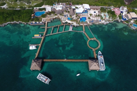 Cancún: Isla Mujeres Catamaran Tour & Zwemmen met DolfijnenCruise met 40 minuten durende ontmoeting met dolfijnen