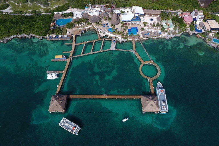 Cancún: tour en catamarán por Isla Mujeres y nado con delfinesCrucero con encuentro con delfines de 40 minutos
