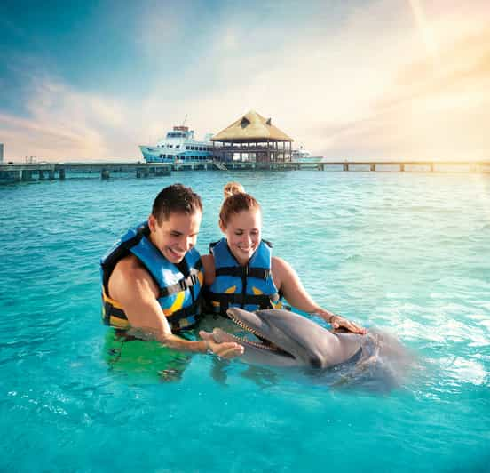 swim with dolphins cancun isla mujeres