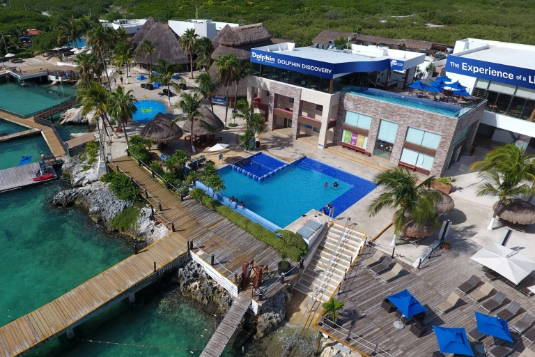 Cancún: Isla Mujeres Catamaran Tour & Zwemmen met DolfijnenCruise met 60 minuten durende Dolphin Royal Swim