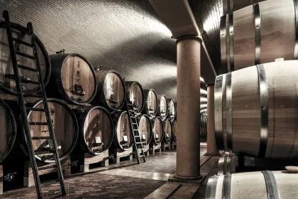 Valpolicella: Weinverkostung mit einem Sommelier und einem leichten ...