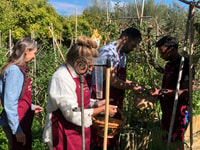 Paciano, Corsi di Cucina Biologica in Fattoria con Pranzo e Vino - Hizvo