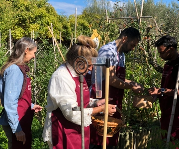 Paciano: Organic Cooking Class at a Farm with Lunch & Wine