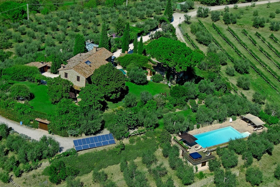 Paciano, Organic Cooking Class at a Farm with Lunch and Wine - Hizvo