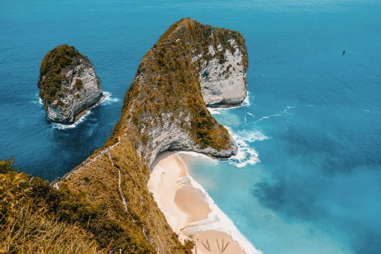 De Bali: excursion d'une journée en hors-bord et en voiture à Nusa Penida