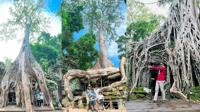 Angkor Cycling Hidden Trails - Hizvo